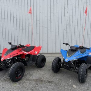 CFMoto Cforce 110 EFI